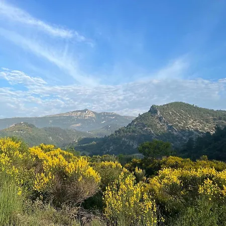Tatil Evi De La Dame
