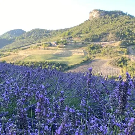 De La Dame Tatil Evi